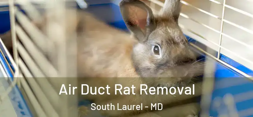 Air Duct Rat Removal South Laurel - MD