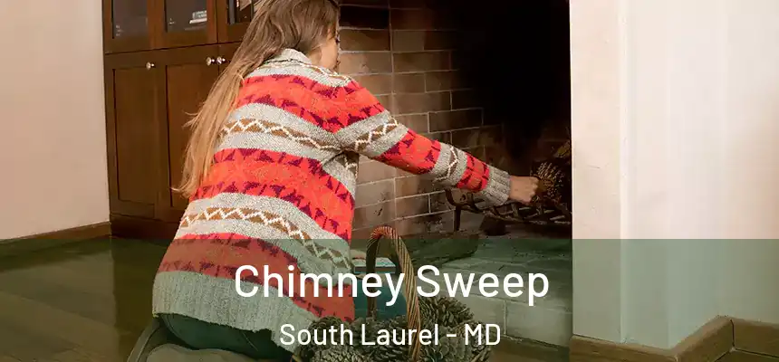  Chimney Sweep South Laurel - MD