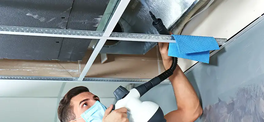 Our Air Duct Rodent Removal Services in South Laurel, MD
