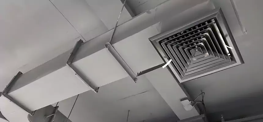 Restorative Allergy Relief Vent Cleaning – Coil, Blower & Housing Detail in South Laurel