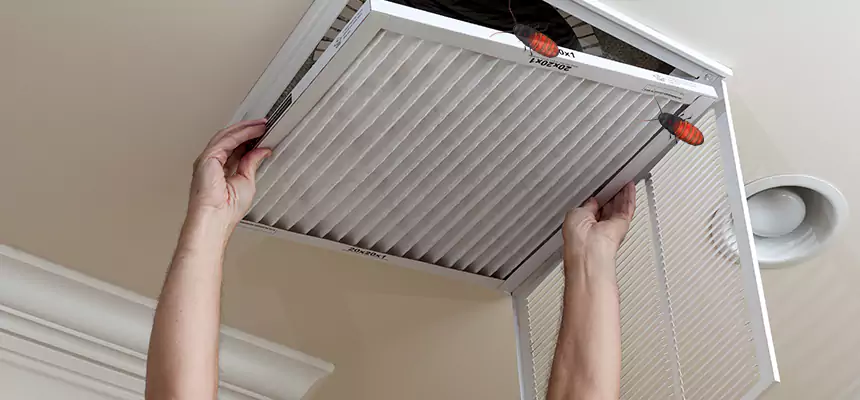Our Insect Removal from Air Ducts Services in South Laurel, MD