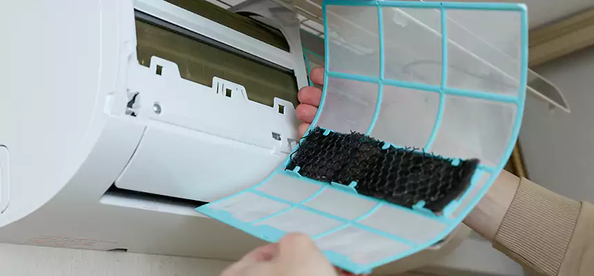 Gentle Ductwork Odor-Control Pet Dander Duct Cleaning in South Laurel, MD