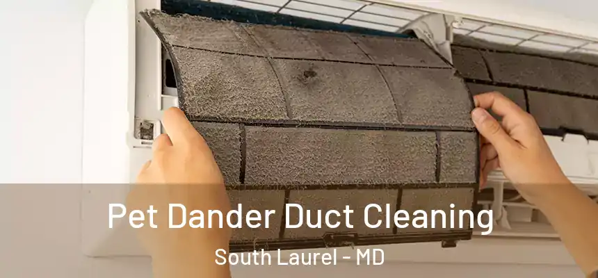 Pet Dander Duct Cleaning South Laurel - MD