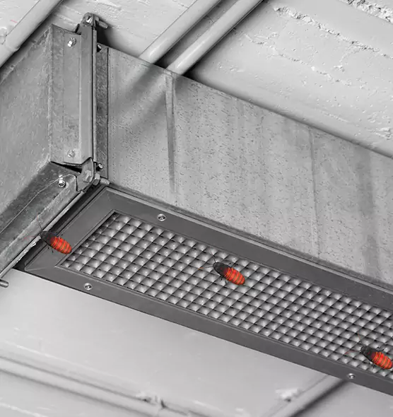 About Air Duct Cockroach Removal in South Laurel, MD
