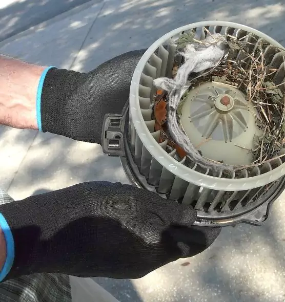 About Air Duct Mice Removal in South Laurel, MD