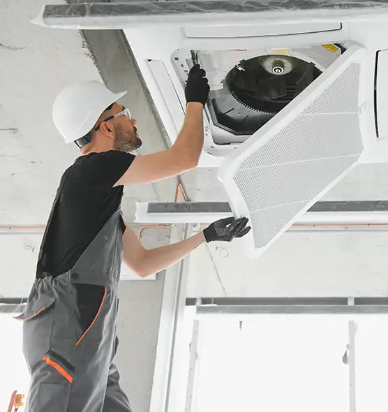 About Air Duct Rodent Removal in South Laurel, MD