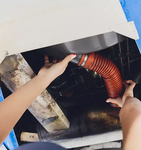 About Air Duct Virus Disinfection in South Laurel, MD