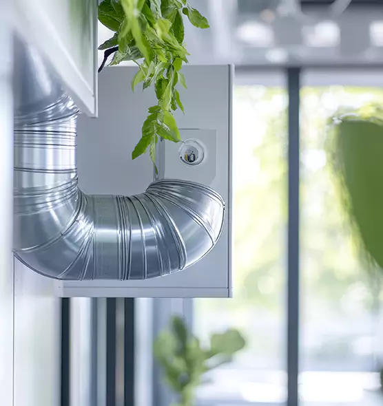 Professional Eco-Safe Dryer Vent Cleaning in South Laurel, MD