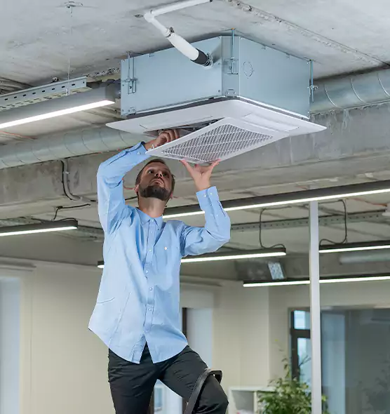 Advanced Rodent Droppings In Vents in South Laurel, MD
