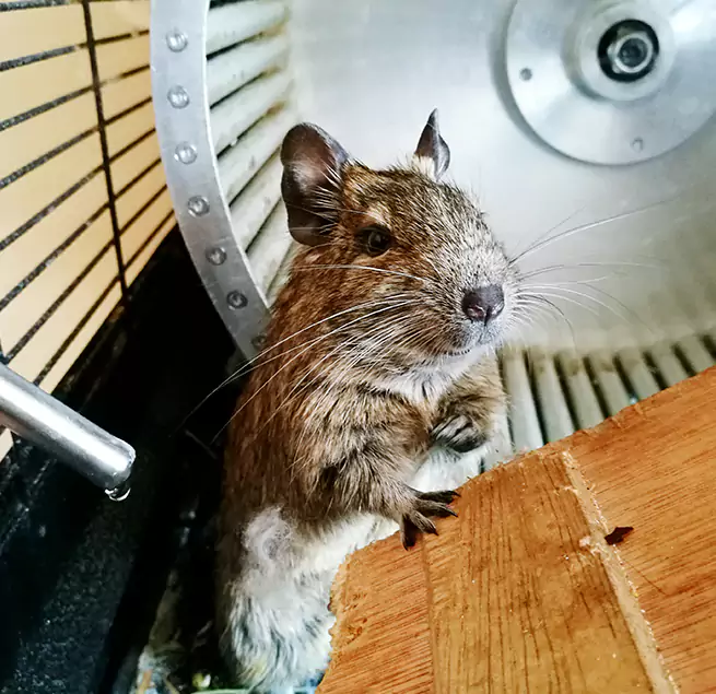 Why Homeowners & Businesses Trust Us South Laurel, MD