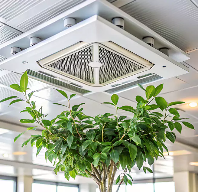 Why Homeowners & Businesses Trust Us in South Laurel, MD