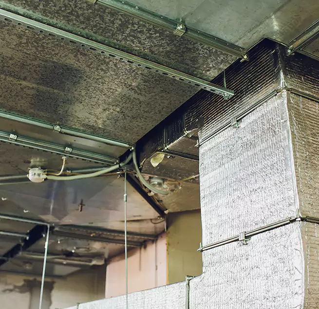 Why Homeowners & Businesses Trust Us in South Laurel, MD?